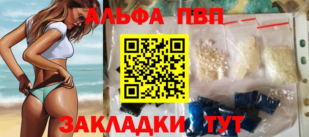 Альфа ПВП СК Киров