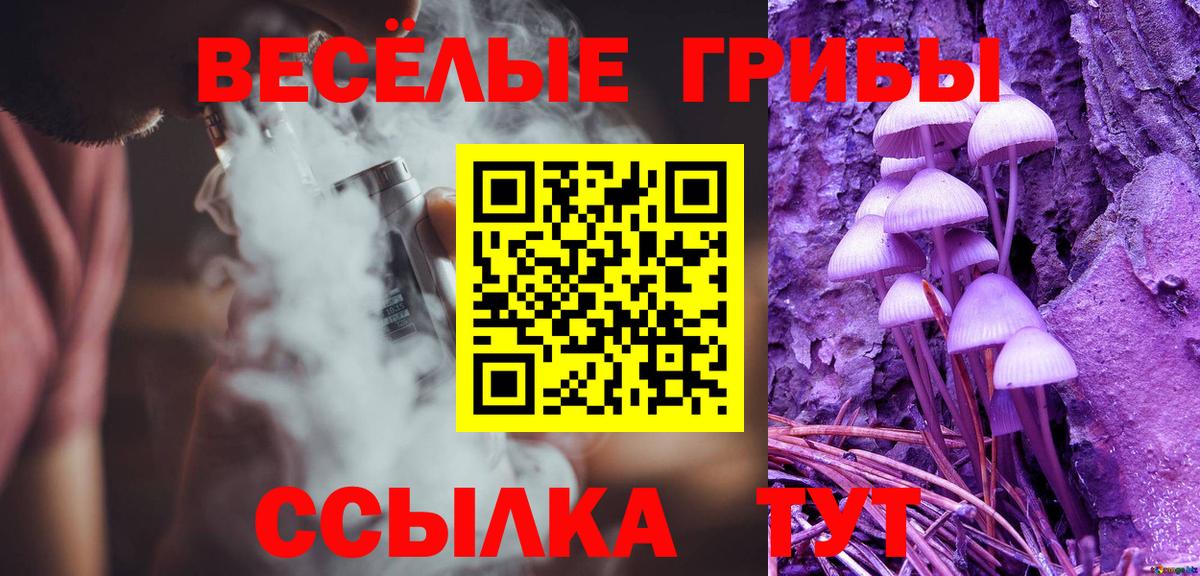Псилоцибиновые грибы Magic Shrooms  купить наркотик  Вход с VPN  Киров  Псилоцибиновые грибы ЛСД 